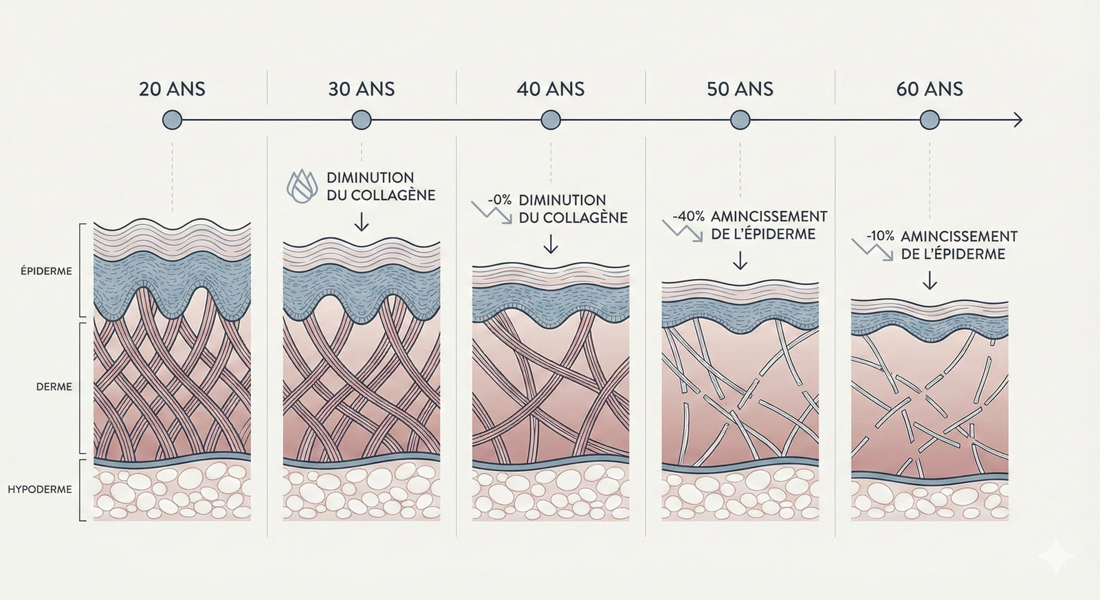 article-vieillissement-image-3