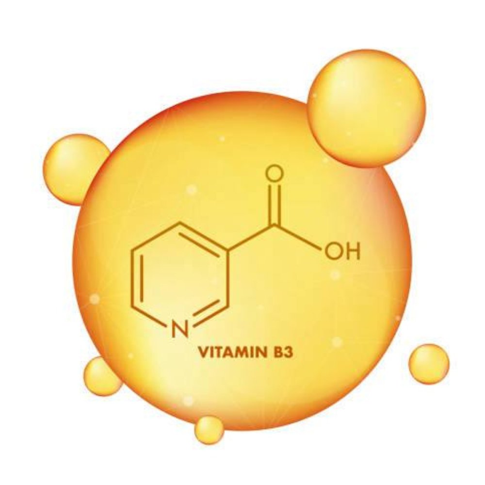 img article niacinamide